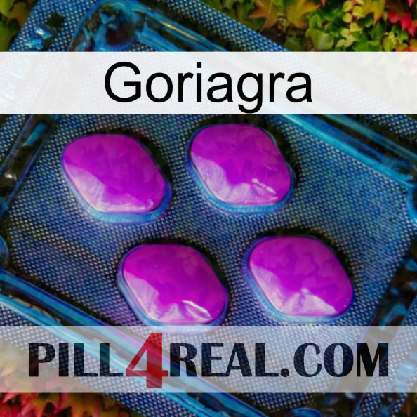 Goriagra 04.jpg